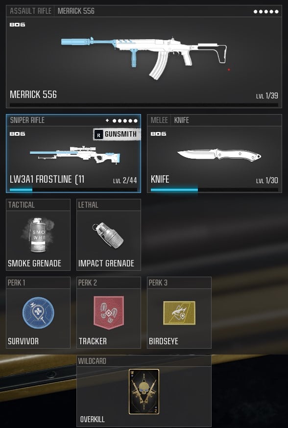 Meilleur équipement Merrick 556 dans Warzone